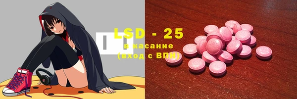 гашик Гусев