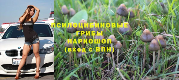 герыч Гусь-Хрустальный
