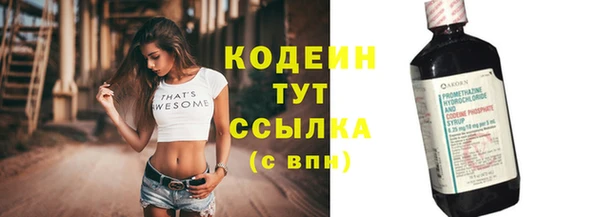 гашик Гусев