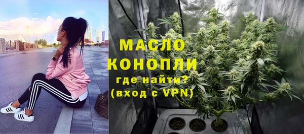 гашик Гусев