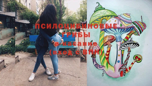 герыч Гусь-Хрустальный