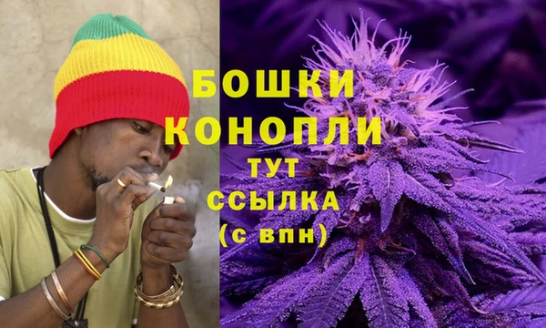 гашик Гусев