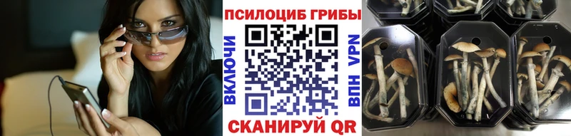 даркнет формула  Тамбов  Галлюциногенные грибы Magic Shrooms  купить наркоту  OMG зеркало 